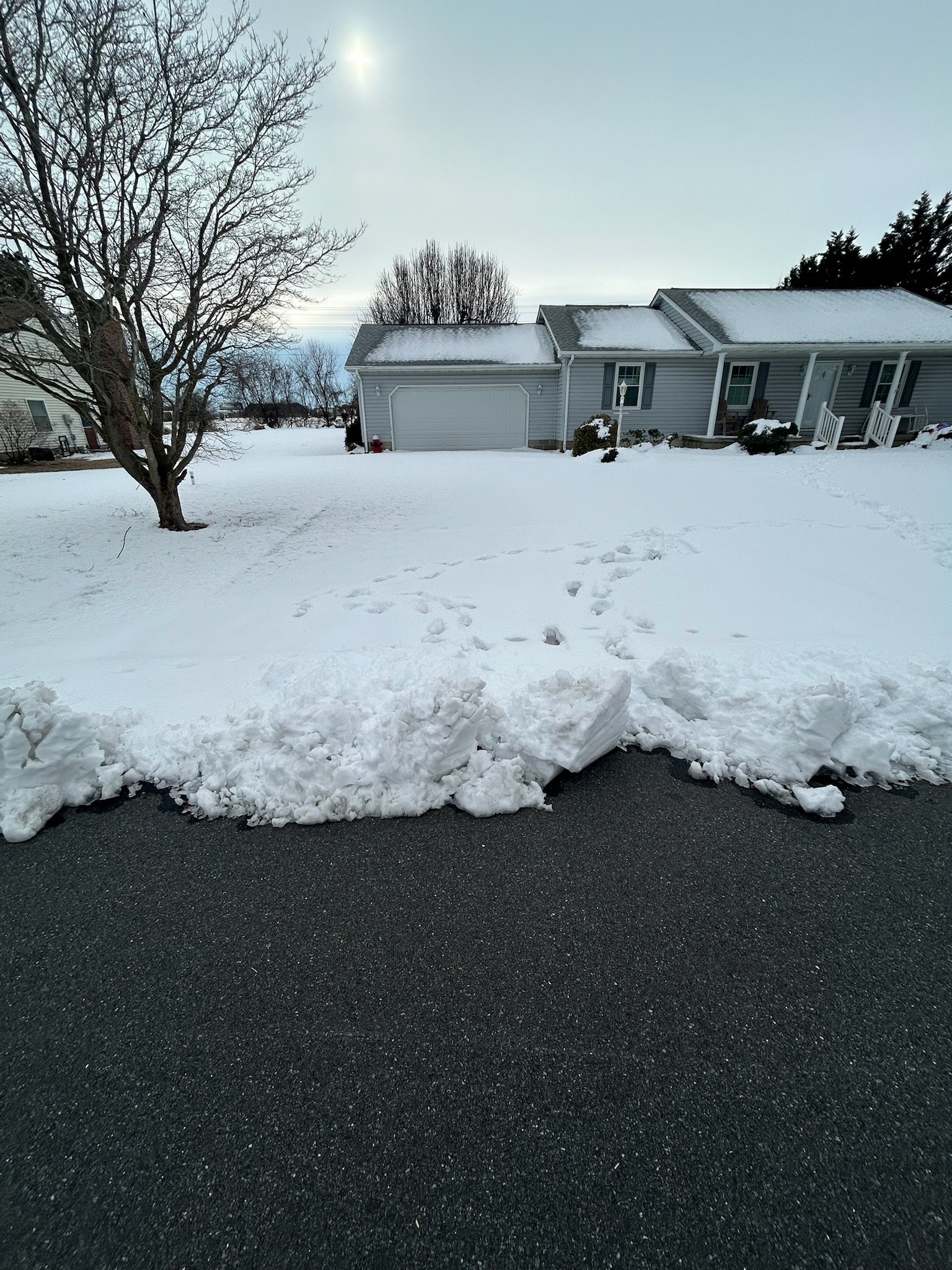 Driveway before cleaning and seasonal service